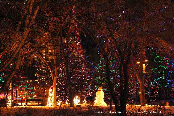 ../Images/040 Snowman Gazing Up.jpg